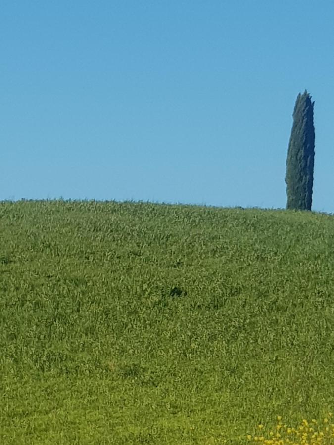 Отель Dimora In Francigena Сан-Куйрико-д'Орча Экстерьер фото